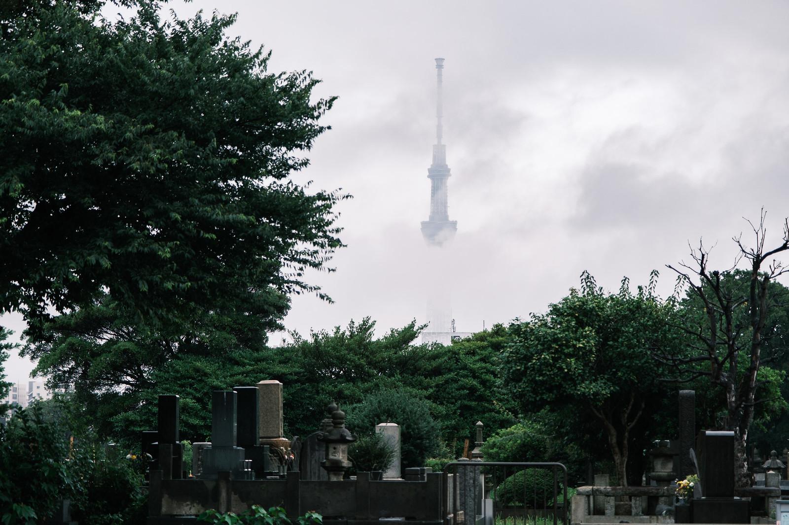 Your Guide to Yanaka's Best Farmers Markets and What's Worth Buying Right Now