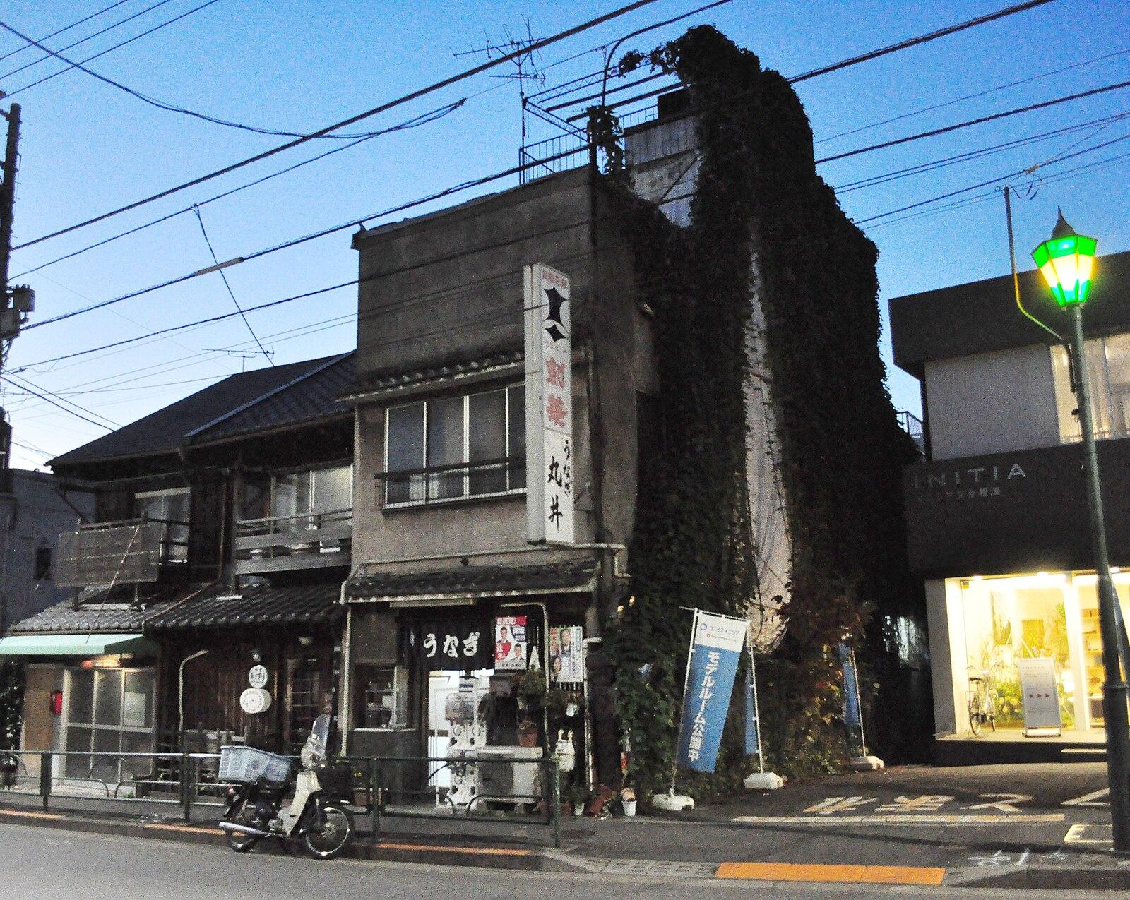 Tokyo Yanaka 170